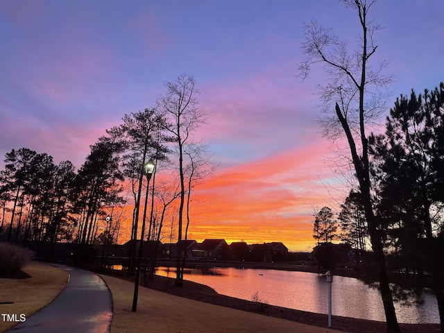 240 Liberty Star Rd, Wendell, NC 27591 - water view