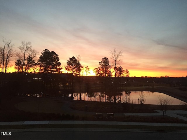 240 Liberty Star Rd, Wendell, NC 27591 - view of local wilderness featuring a large body of water