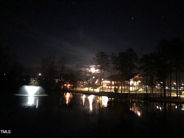 240 Liberty Star Rd, Wendell, NC 27591 - water view