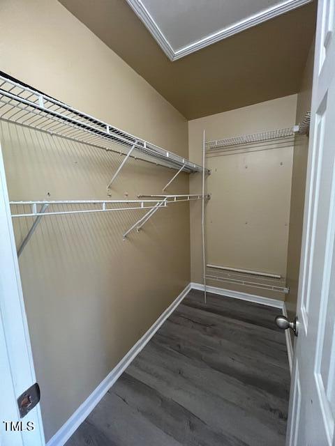 8013 River Water Ct, Raleigh, NC 27616 - walk in closet with wood finished floors