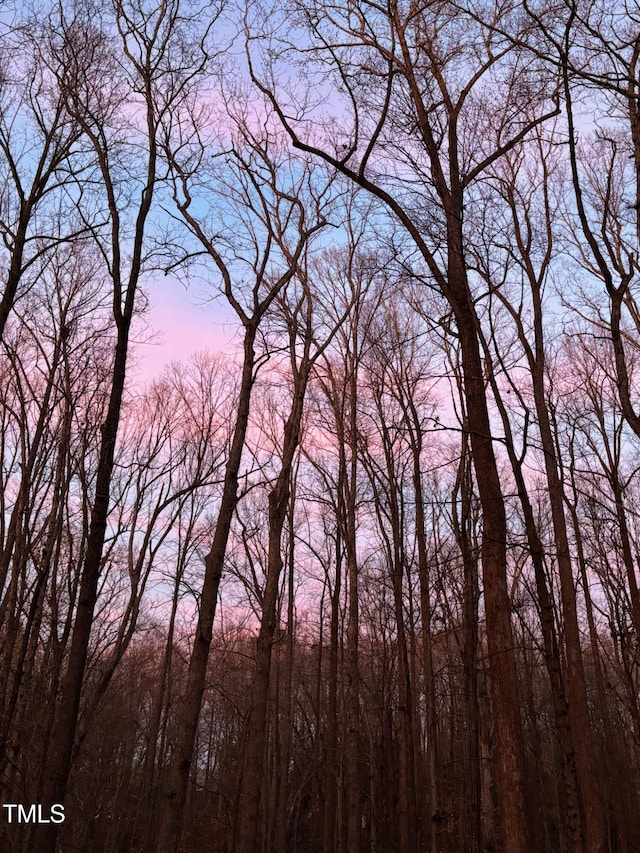 158 Poplar St Unit A, Chapel Hill, NC 27516 - view of local wilderness