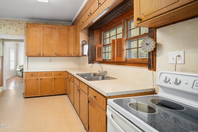 516 W Fourth St, Siler City, NC 27344 - photo 19