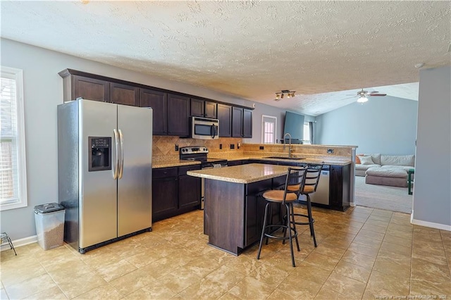 kitchen featuring stainless steel appliances, dark brown cabinetry, and a healthy amount of sunlight