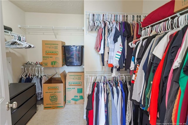 spacious closet featuring carpet