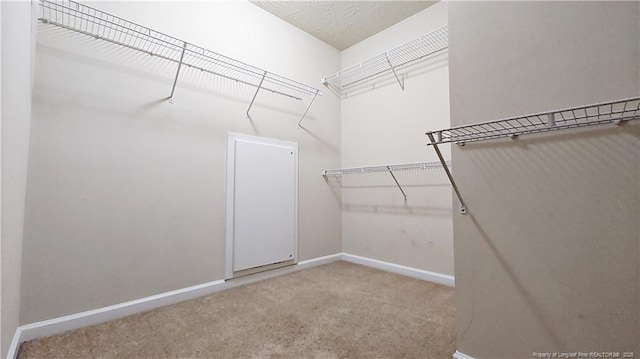 1221 Piping Plover Ct, Fayetteville, NC 28306 - walk in closet featuring carpet floors