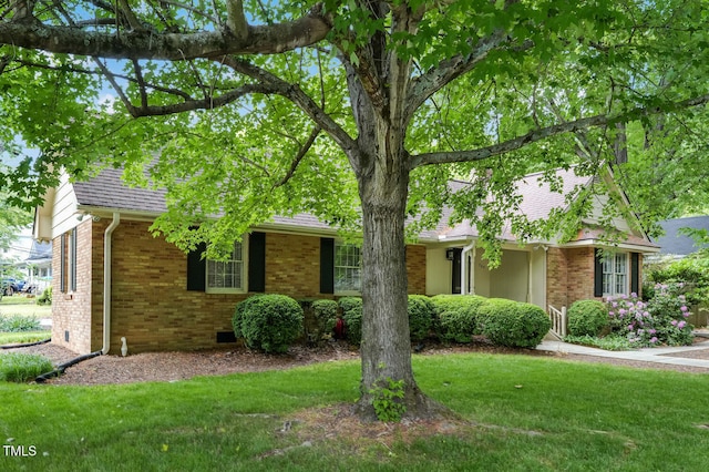 view of front facade featuring brick siding and a front lawn
