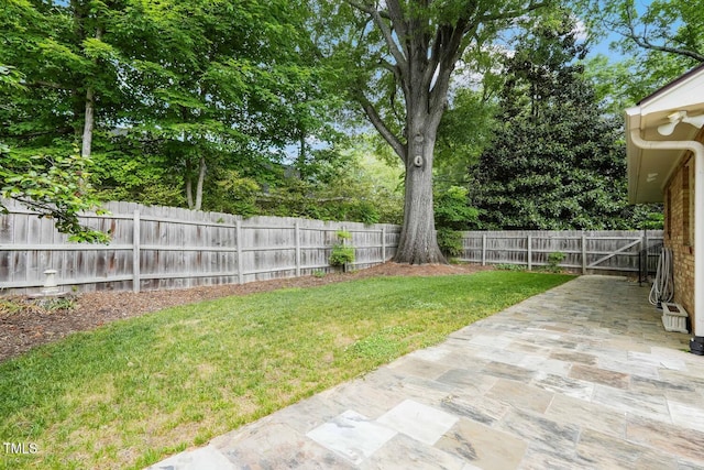 view of yard with a patio