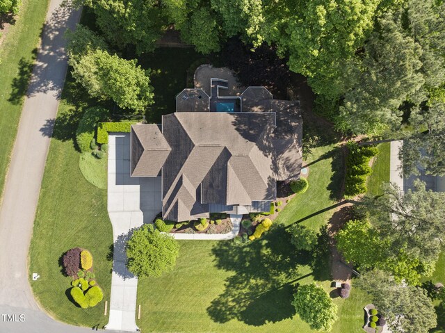 bird's eye view