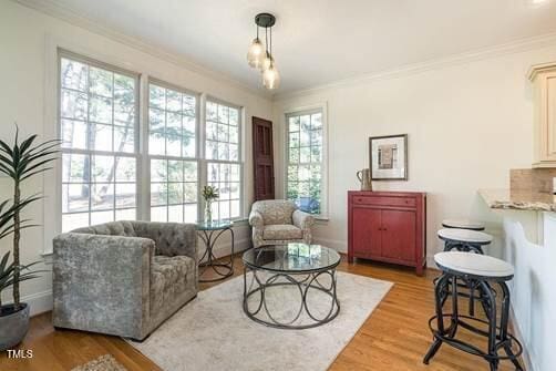 living area featuring light wood finished floors and ornamental molding