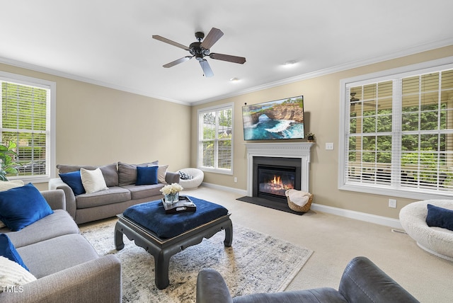 carpeted living room featuring ceiling fan, a wealth of natural light, baseboards, and ornamental molding