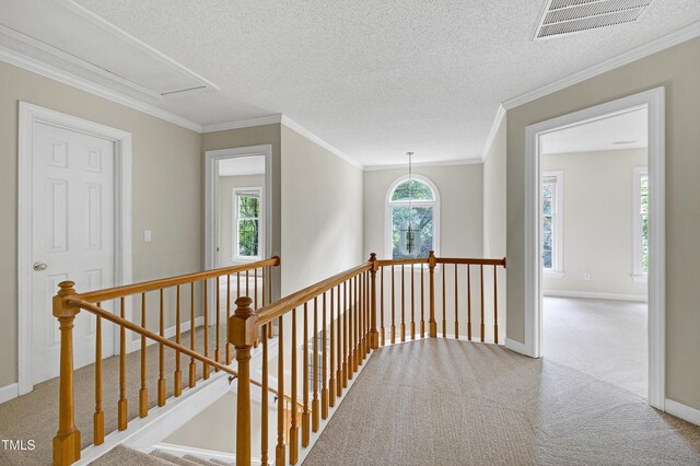 3511 Shady Creek Dr, Durham, NC 27713 - photo 25