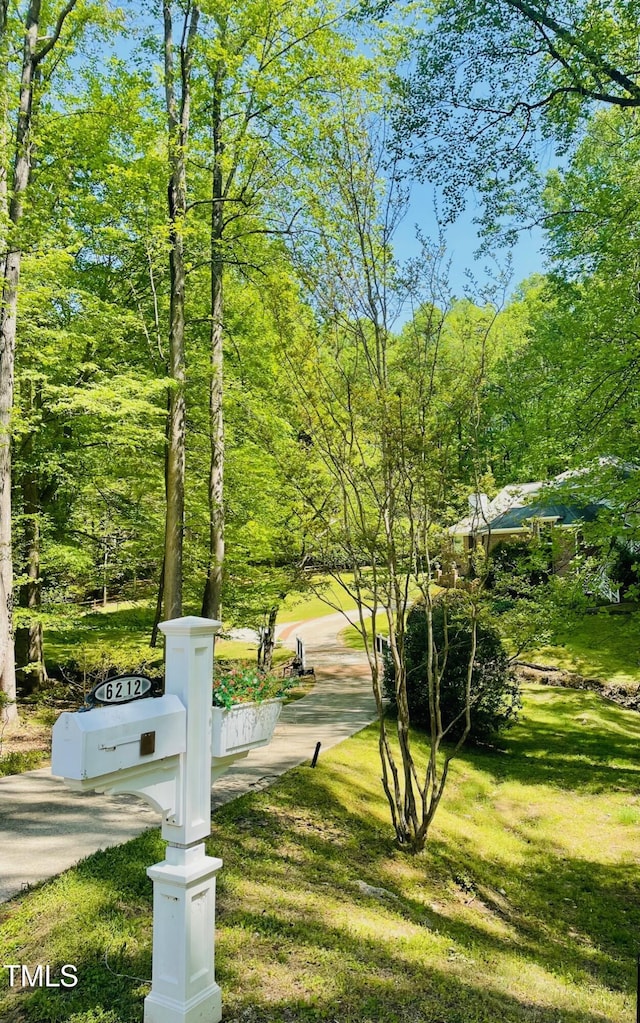 6212 Trevor Ct, Raleigh, NC 27613 - surrounding community featuring a lawn