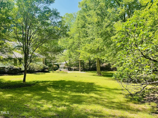 6212 Trevor Ct, Raleigh, NC 27613 - view of yard