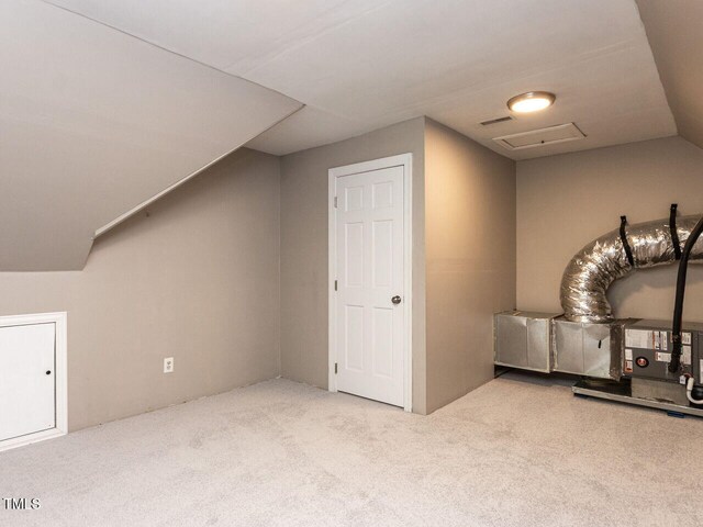 additional living space featuring carpet and visible vents