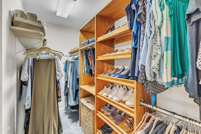 1311 Theodore Ln, Durham, NC 27703 - spacious closet with carpet
