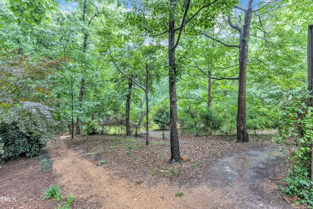 1311 Theodore Ln, Durham, NC 27703 - view of woods