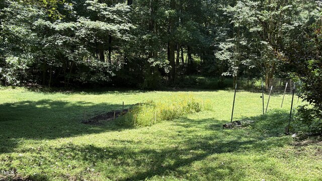 1311 Theodore Ln, Durham, NC 27703 - photo 38