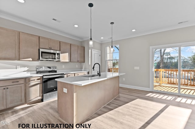 kitchen featuring light wood-type flooring, ornamental molding, visible vents, stainless steel appliances, and a sink
