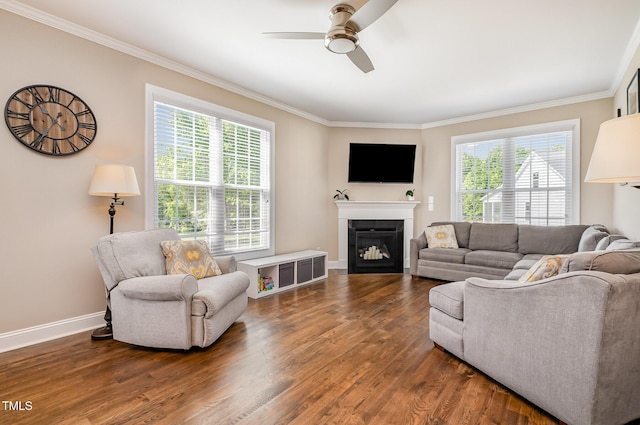 45 Leighann Ct S, Timberlake, NC 27583 - living room with ceiling fan, ornamental molding, dark wood finished floors, baseboards, and a glass covered fireplace