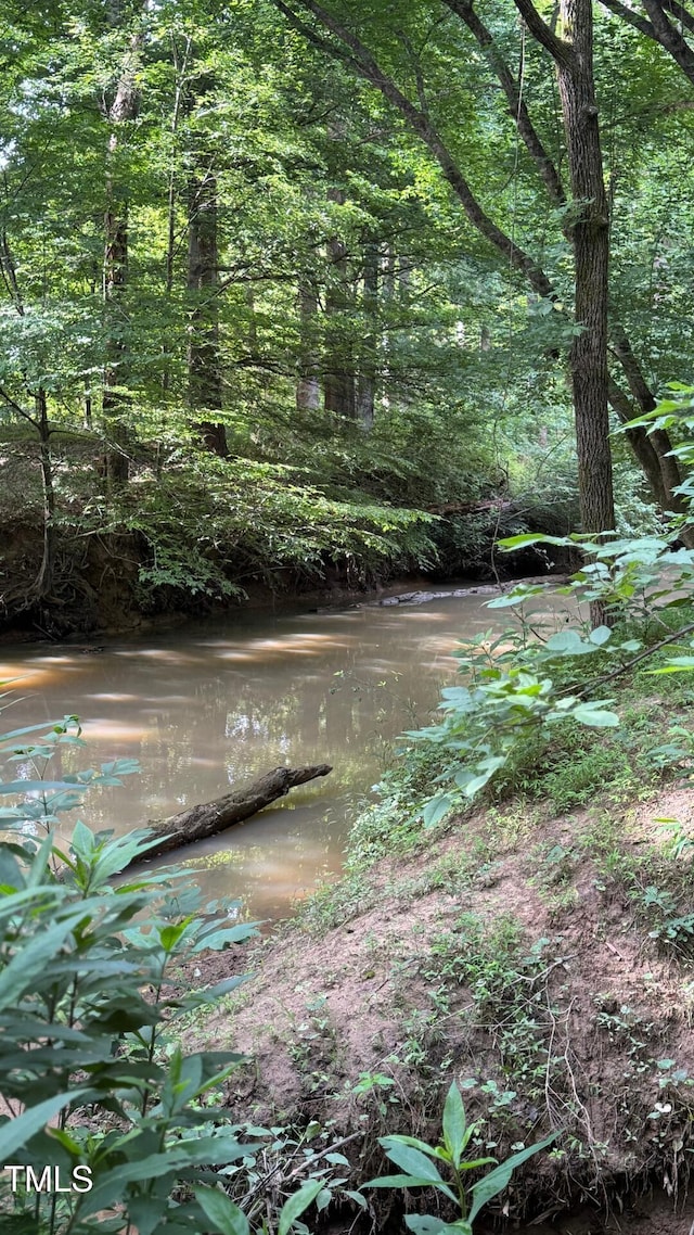 45 Leighann Ct S, Timberlake, NC 27583 - view of wooded area