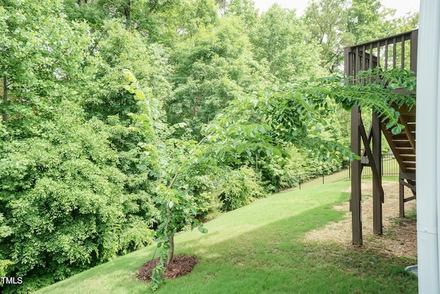 273 Scarlet Tanager Cir, Holly Springs, NC 27540 - photo 40