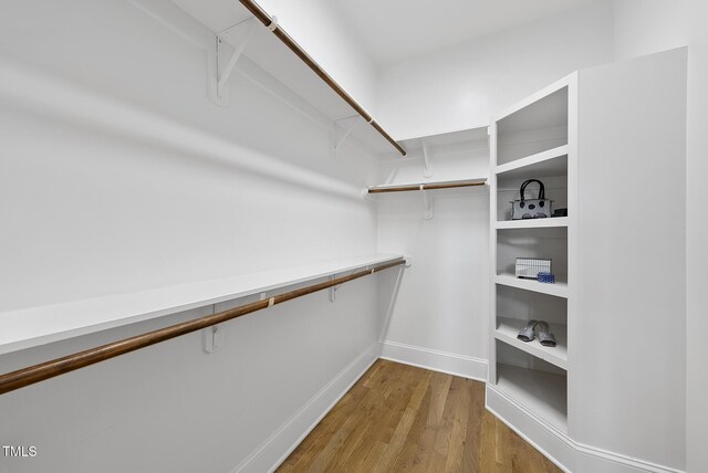 spacious closet featuring wood finished floors