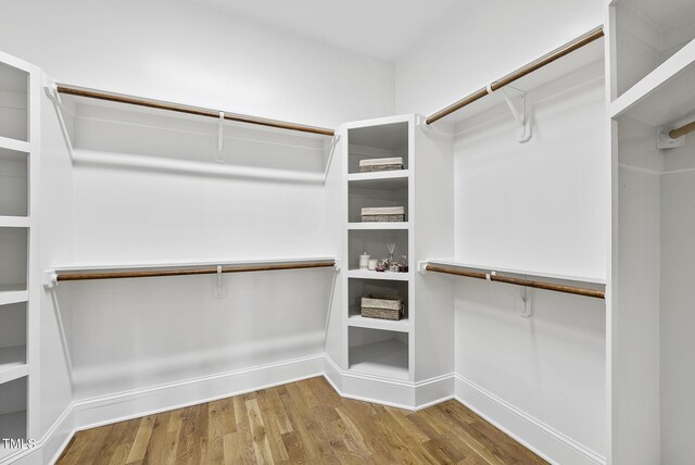 spacious closet featuring wood finished floors