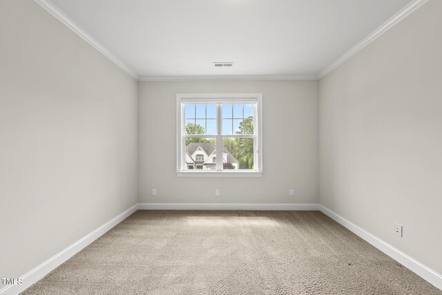 spare room with ornamental molding, baseboards, and carpet floors