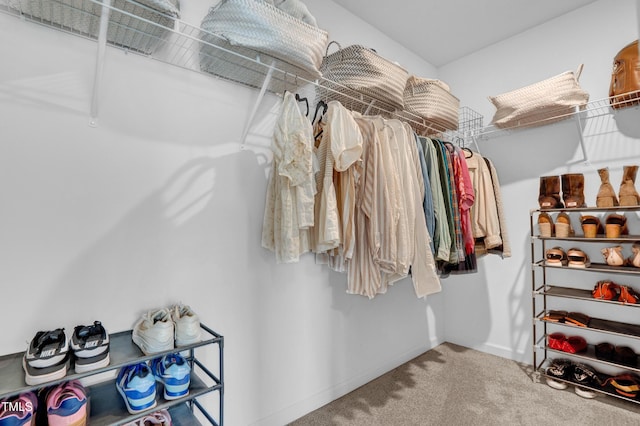1501 Addison Lake St, Fuquay Varina, NC 27526 - walk in closet with carpet floors