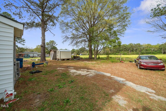 view of yard featuring a storage shed and an outdoor structure