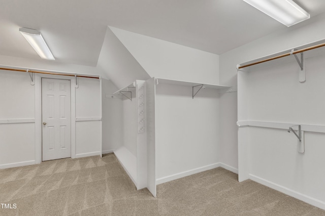 spacious closet with carpet
