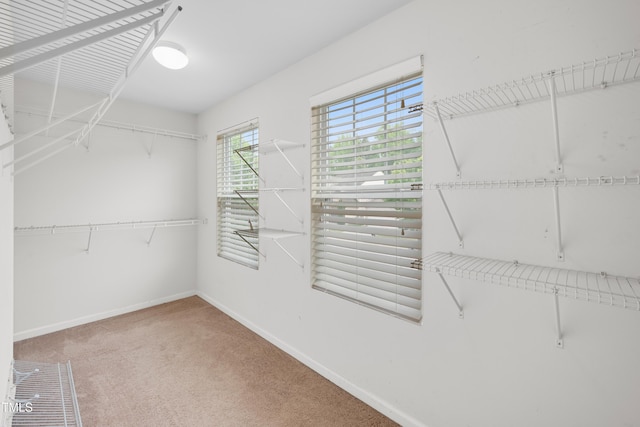 3513 Diamond Springs Dr, Raleigh, NC 27610 - walk in closet with carpet