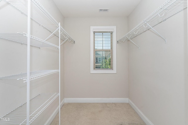 walk in closet with visible vents and carpet flooring