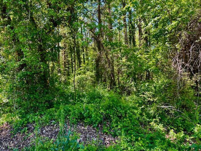 00 Young Ave, Henderson, NC 27536 - photo 3