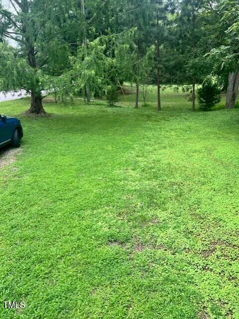604 N Main St, Louisburg, NC 27549 - photo 14