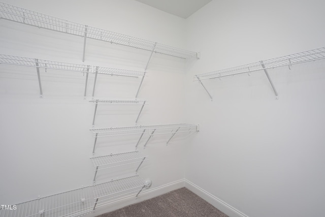 1007 Fairhaven Dr, Mebane, NC 27302 - walk in closet with carpet flooring