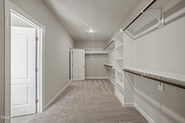 spacious closet featuring attic access and light carpet