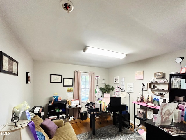 107 N Pearl St, Princeton, NC 27569 - office featuring wood finished floors