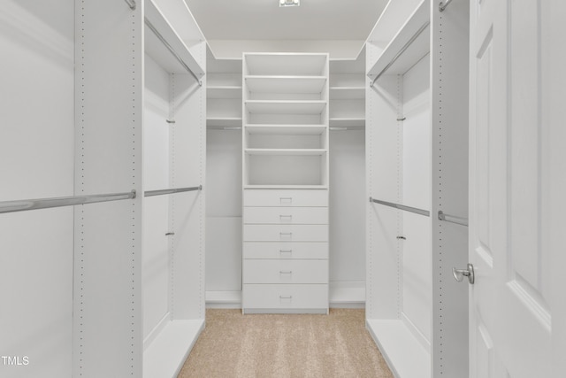 10603 Friendly Neighbor Ln, Raleigh, NC 27614 - walk in closet with carpet floors