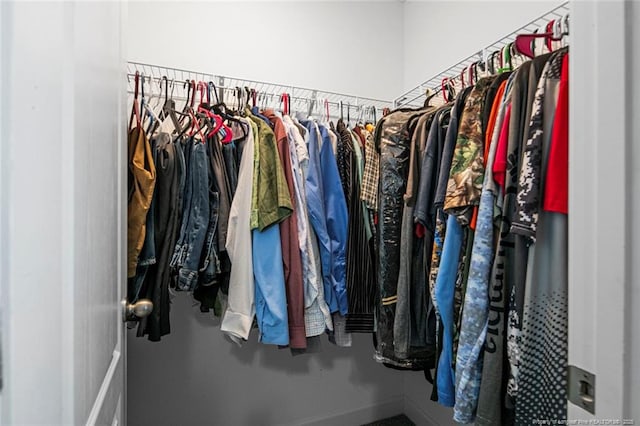 view of walk in closet