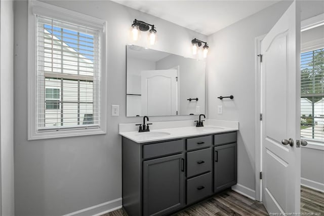 bathroom with baseboards, wood finished floors, a sink, and double vanity