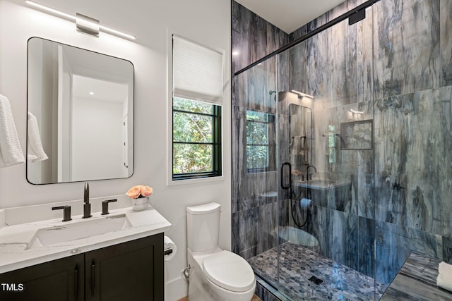 bathroom with vanity, a stall shower, and toilet