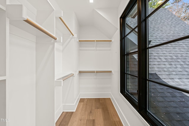 spacious closet featuring wood finished floors