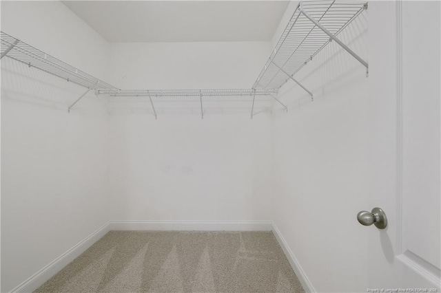 99 Wildlife Bridge Ct, Spring Lake, NC 28390 - spacious closet with carpet flooring