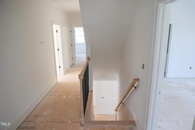 7301 Wexford Woods Ln, Wake Forest, NC 27587 - view of stairway