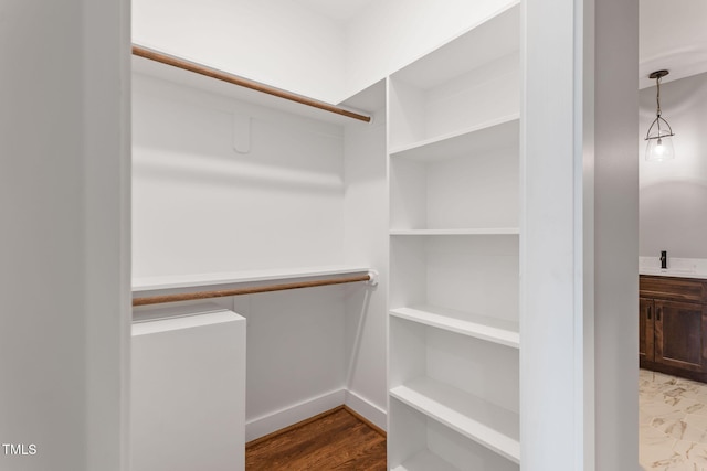 view of walk in closet
