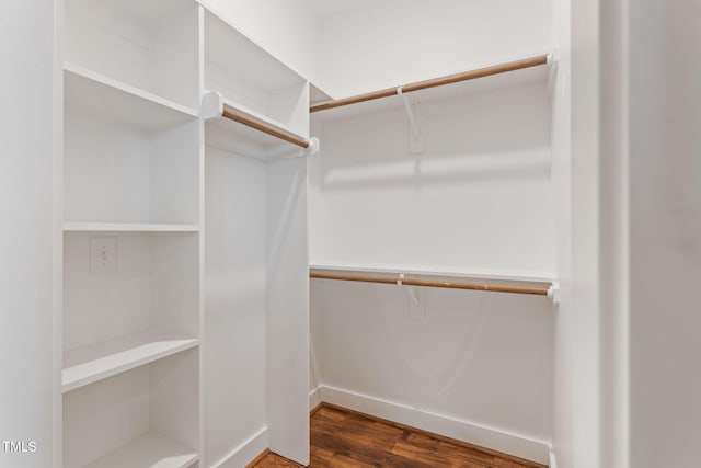 spacious closet with wood finished floors