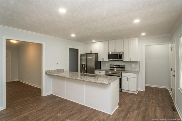 1016 Martindale Dr, Fayetteville, NC 28304 - kitchen featuring a sink, stainless steel appliances, backsplash, a peninsula, and dark wood-type flooring