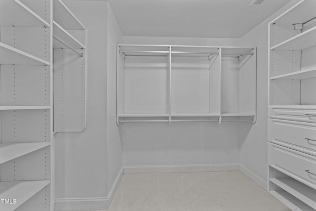 walk in closet with carpet flooring