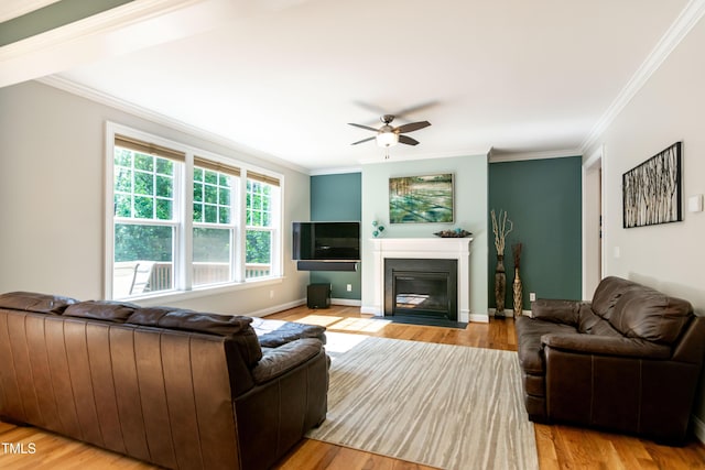 living room with crown molding, a fireplace with flush hearth, ceiling fan, and wood finished floors